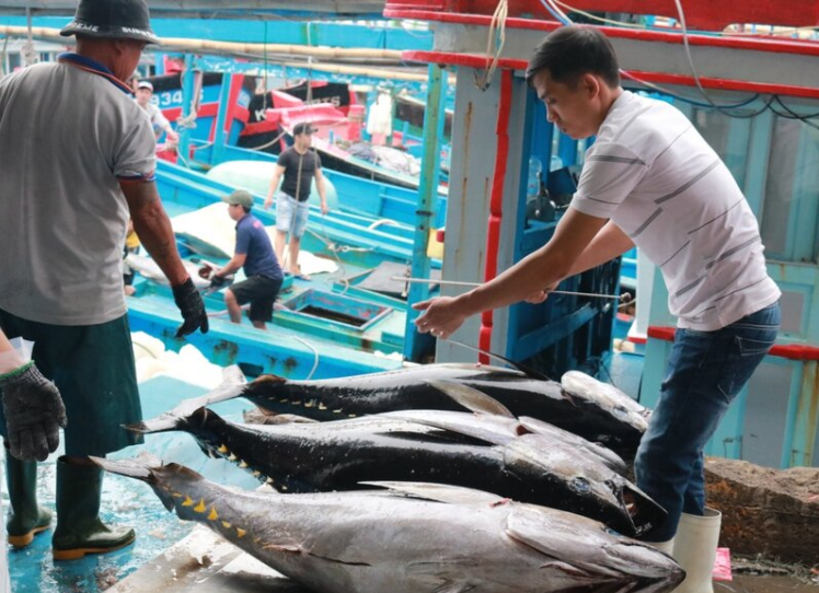 Thuỷ sản Việt tại thị trường EU có tăng trưởng nhưng nhiều rủi ro