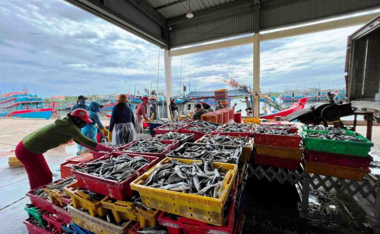 Nhiều địa phương thúc đẩy mô hình chuyển đổi sinh kế, giảm khai thác thủy sản ven biển.