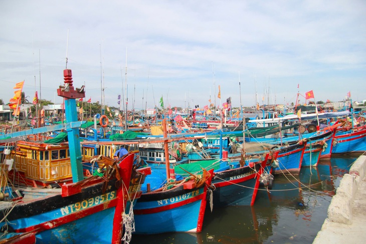 Các tàu các không đủ điều kiện hoạt động đều được quản lý chặt chẽ.