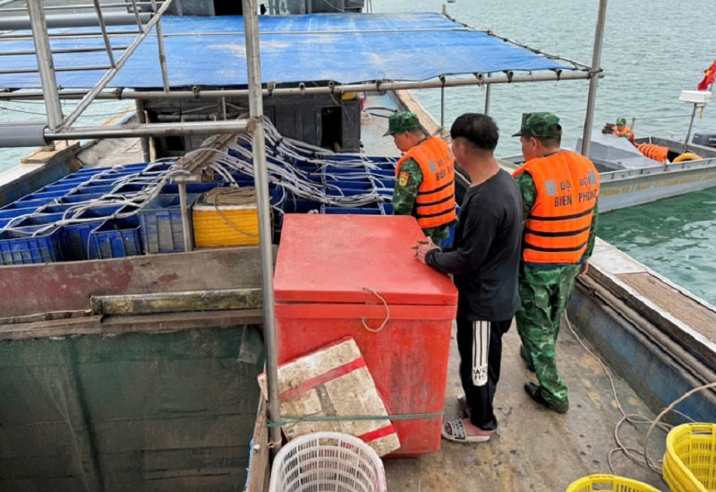 Kiểm tra, kiểm soát tàu cá