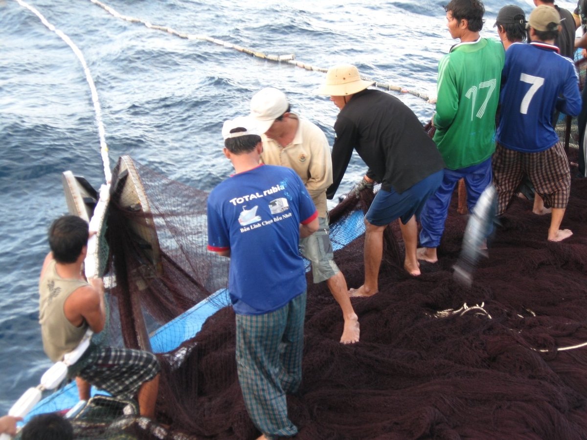 Nghề lưới vây phải cần đến từ 12-15 lao động mới đủ phục vụ một chuyến biển