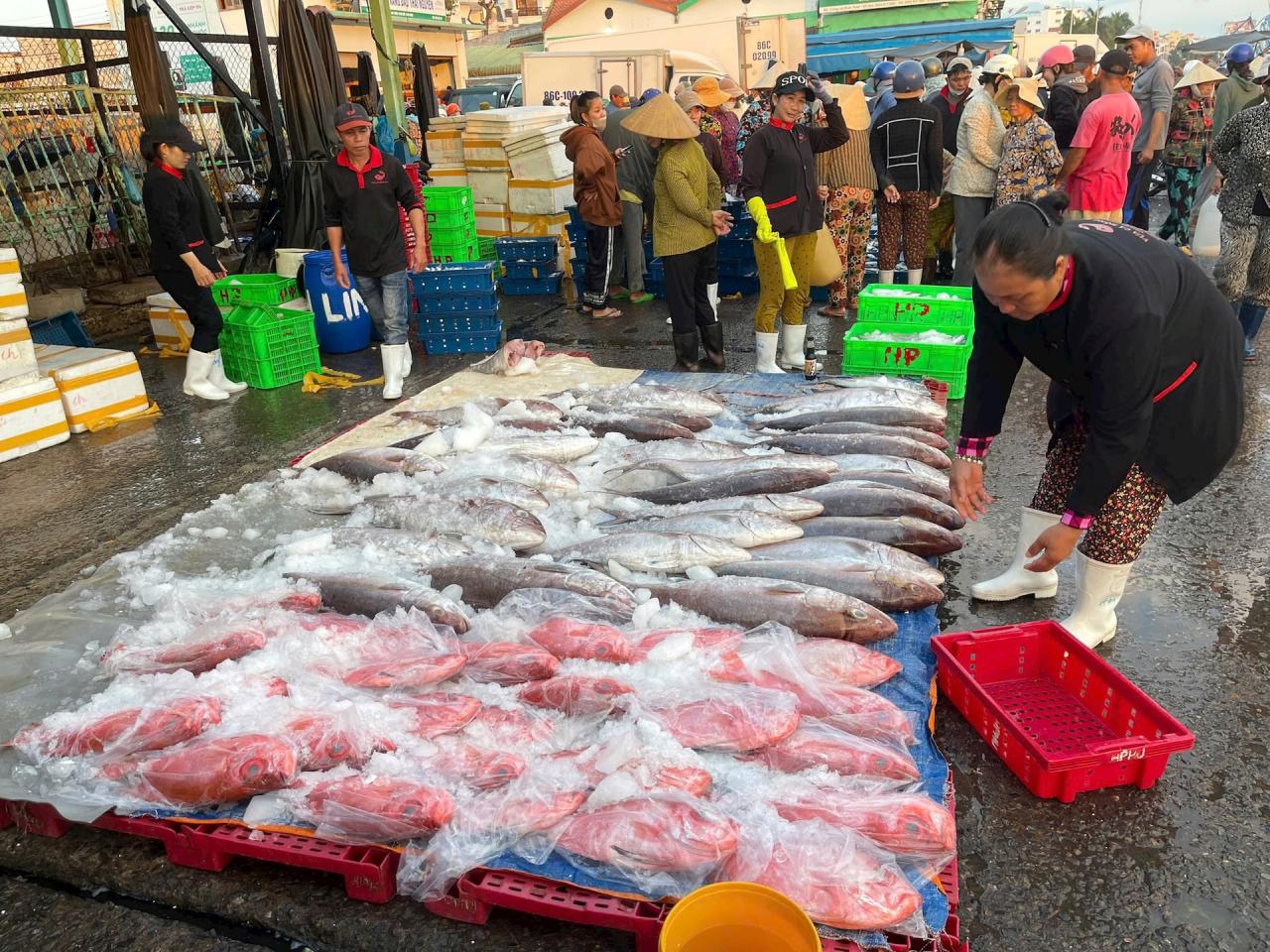 Doanh nghiệp đề nghị cần làm rõ khái niệm “trộn lẫn nguyên liệu”