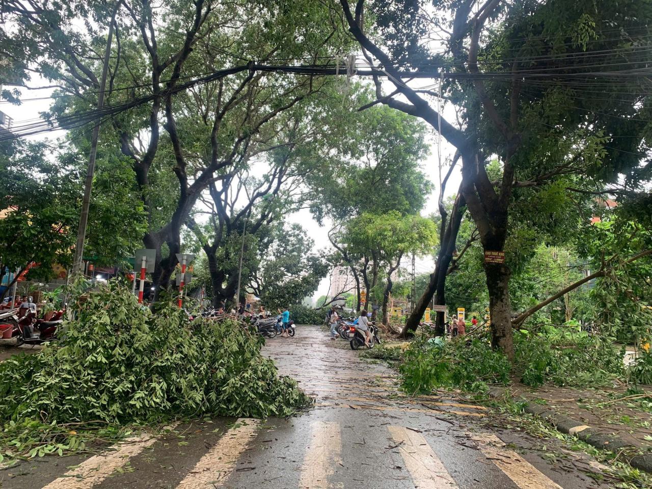 Thiên tai hủy hoại hạ tầng viễn thông truyền thống