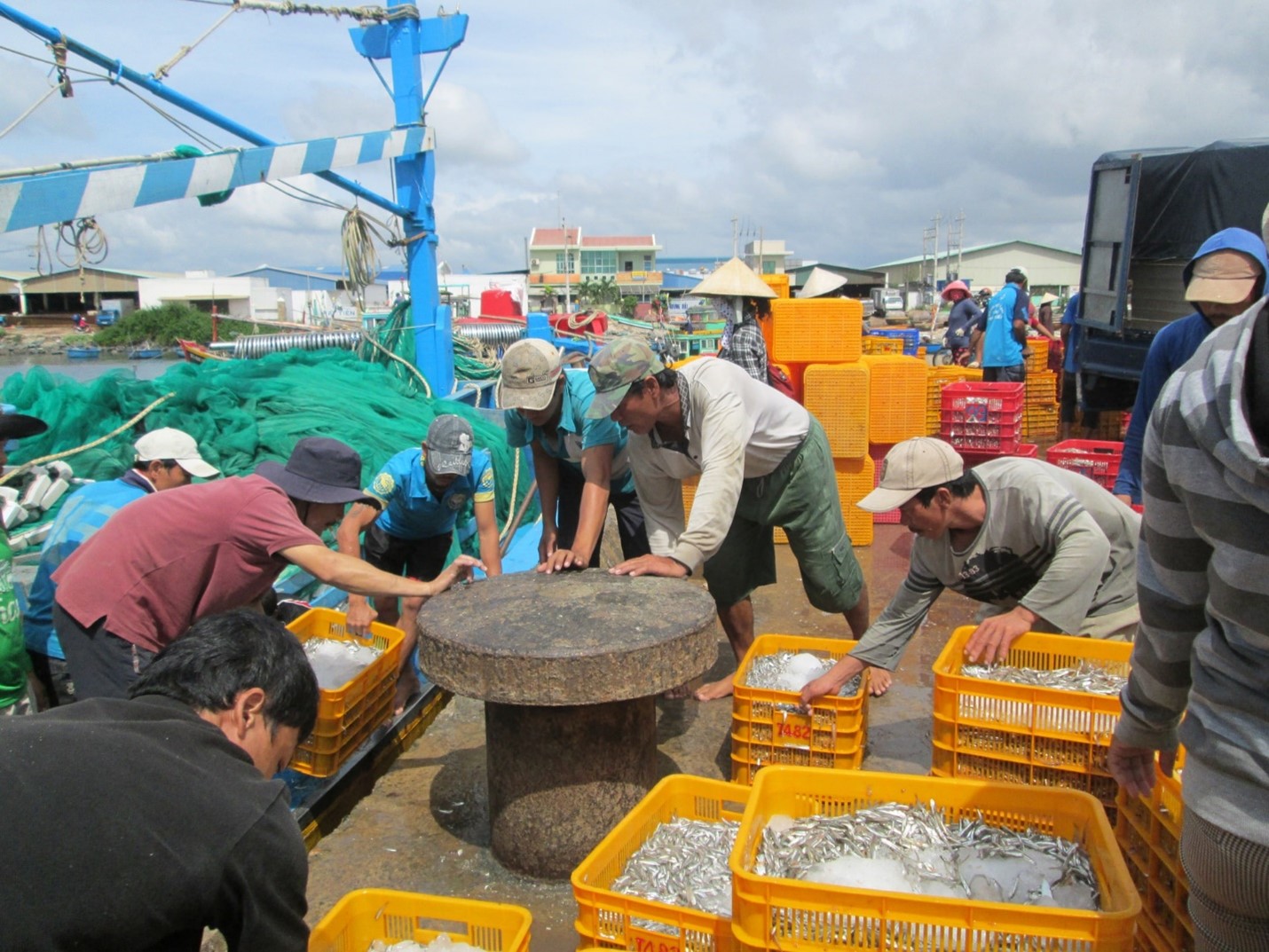 Ngư dân Bình Thuận cập cảng