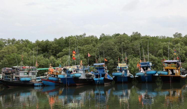Hàng loạt tàu cá tại xã Lộc An, tỉnh Bà Rịa-Vũng Tàu, phải nằm bờ do giấy phép quy định không đúng với vùng khai thác ngành nghề.