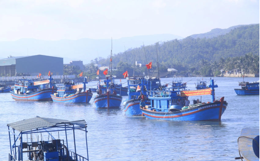 100% tàu cá Bình Định tham gia hoạt động khai thác ở vùng khơi được cấp giấy phép khai thác thủy sản đúng quy định và được lắp đặt thiết bị giám sát hành trình