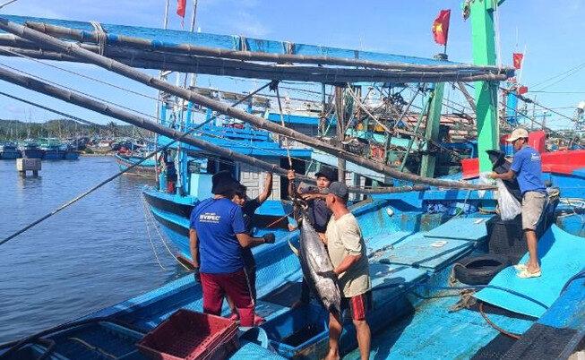 Thủy sản khai thác đều phải có nguồn gốc rõ ràng.