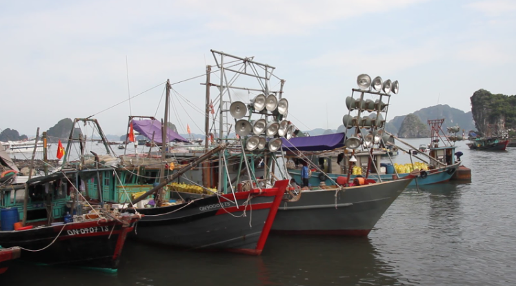 Một số tàu cá thiếu hoặc chưa đăng ký thủ tục về lắp thiết bị VMS