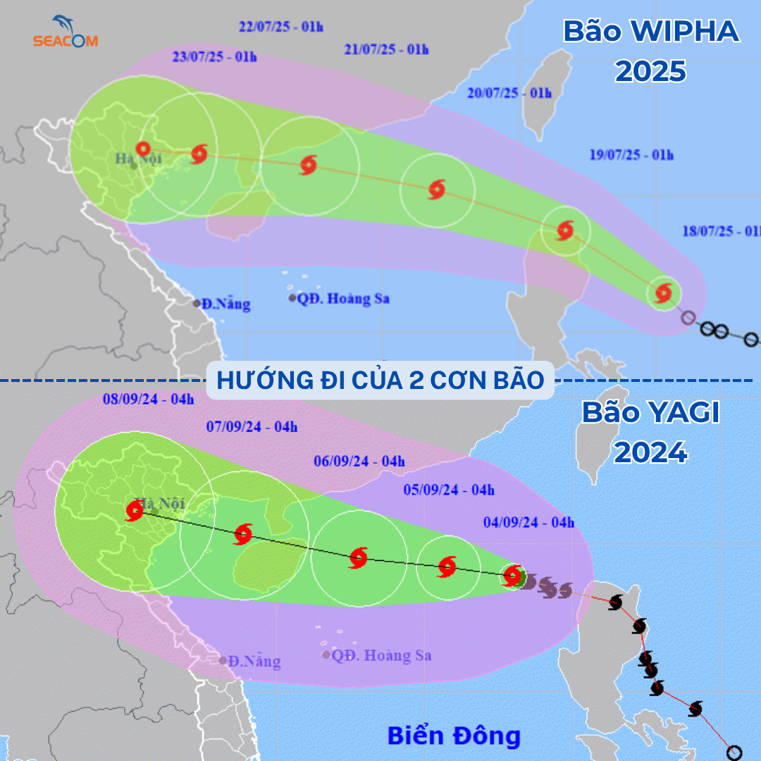 Bão Wipha có “bóng dáng” bão Yagi 2024