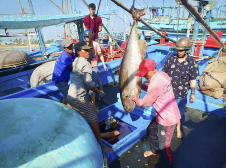 Nguồn hải sản được truy xuất nguồn gốc qua thiết bị VMS hiệu quả