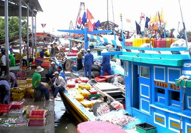 Cảnh cá Định An Vĩnh Long