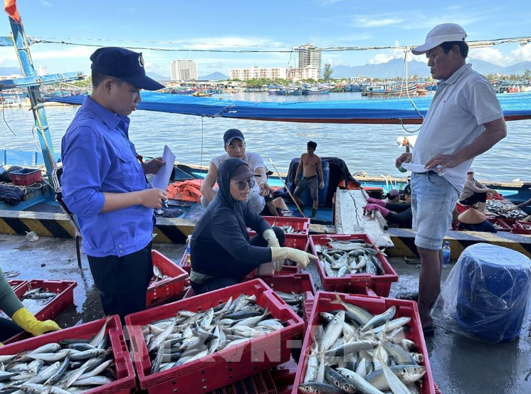 Truy xuất nguồn gốc hải sản ngay từ cảng