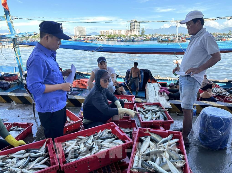 Truy xuất nguồn gốc hải sản ngay từ cảng