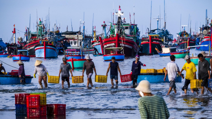 Mỹ từ chống công nhận đối với 12 nghề khai thác của Việt Nam