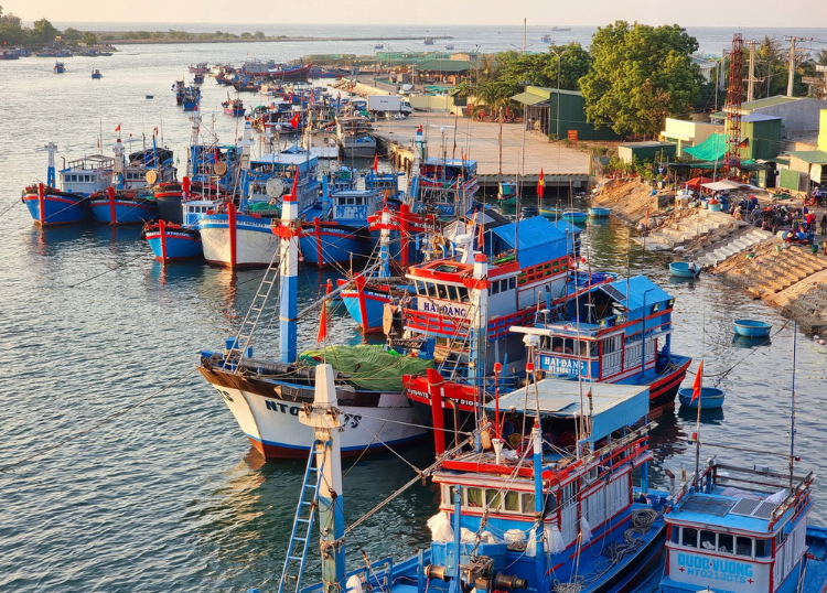 Tàu cá các địa phương nhanh chóng hoàn thiện dữ liệu số