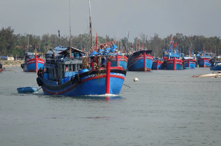 Tàu thuyền sẽ gặp rắc rối nếu thiết bị VMS gặp trục trặc hoặc mất kết nối