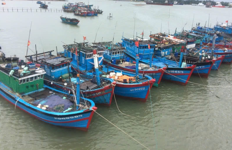 99,9% tàu cá được đăng ký và cập nhật trên cơ sở dữ liệu nghề cá quốc gia