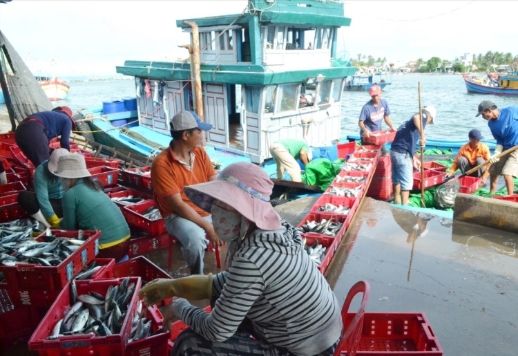 Chuyển đổi số cho ngư dân, hải đảo phát triển nghề biển bền vững