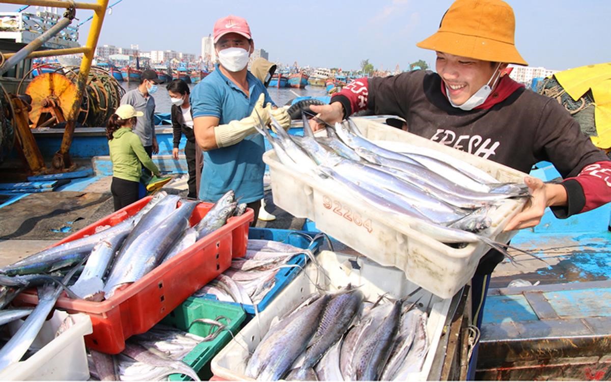 Công nghệ giúp ngư dân bám biển, tăng năng suất khai thác