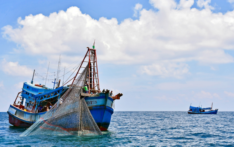 Gửi nhật ký điện tử không đúng thời gian có thể coi là vi phạm IUU