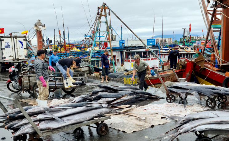 Cảng cá áp dụng nhiều biện pháp quản lý khia báo thuyền xuất/ nhập.